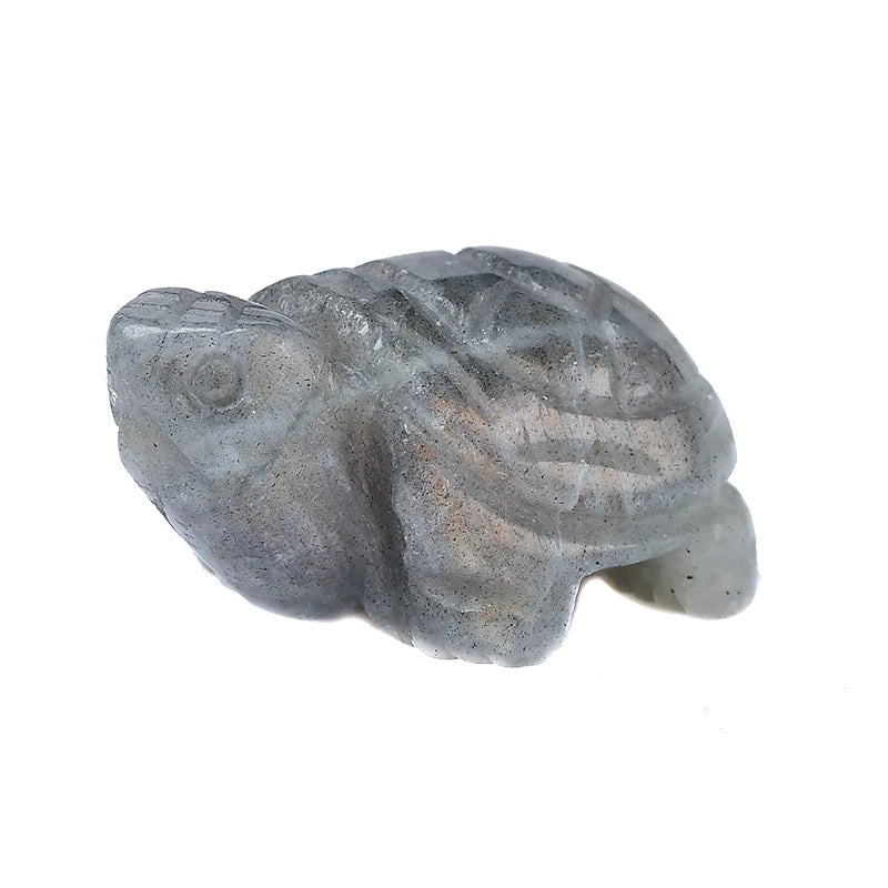 Natural Crystal Tortoise Carving | Choose Your Stone | Altar & Home Decor