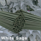 White Sage Incense Sticks — Cleansing & Meditation Incense