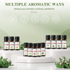 Fragrance Oils Gift Set – 20 x 5ml