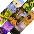 Walking Meditation Tarot Deck – 78-Card Nature Photography Tarot