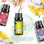 Best Floral Fragrance Oils Gift Set – 6 x 10ml