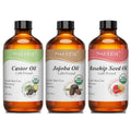 Organic Carrier Oils | Castor, Argan, Jojoba & Rosehip for Hair, Skin & Body