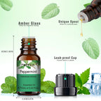 Essential Oils Gift Set – 10ml Singles, 6-Pack & 10-Pack
