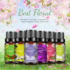 Best Floral Fragrance Oil Set | 6-Pack 10ml for Diffusers, Candles & DIY