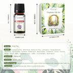 Fragrance Oils Gift Set – 20 x 5ml