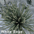 White Sage Incense Sticks — Cleansing & Meditation Incense