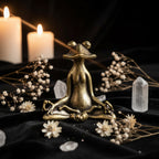 Sitting Zen Frog Incense Holder | Solid Bronze Tea Pet Ornament