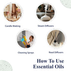 Pure Essential Oils – 100ml Aromatherapy Singles