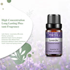 Pure Plant Essential Oil 10ml | Singles & 3-Packs for Diffusers, Aromatherapy & DIY