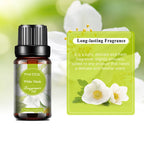 Flower & Lifestyle Fragrance Oil 10ml | Singles, 6-Pack & 10-Pack for Diffusers, Candles & DIY