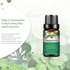 Pure Plant Essential Oil 10ml | Singles & 3-Packs for Diffusers, Aromatherapy & DIY