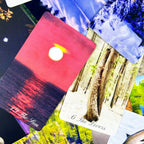 Walking Meditation Tarot Deck – 78-Card Nature Photography Tarot