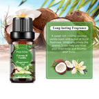 Flower & Lifestyle Fragrance Oil 10ml | Singles, 6-Pack & 10-Pack for Diffusers, Candles & DIY