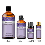 Pure Essential Oil | 10ml, 30ml & 100ml | Lavender, Eucalyptus, Sandalwood & More